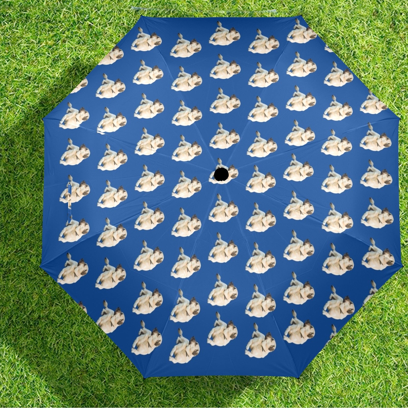 Anatolian Shepherd Umbrella - Blue