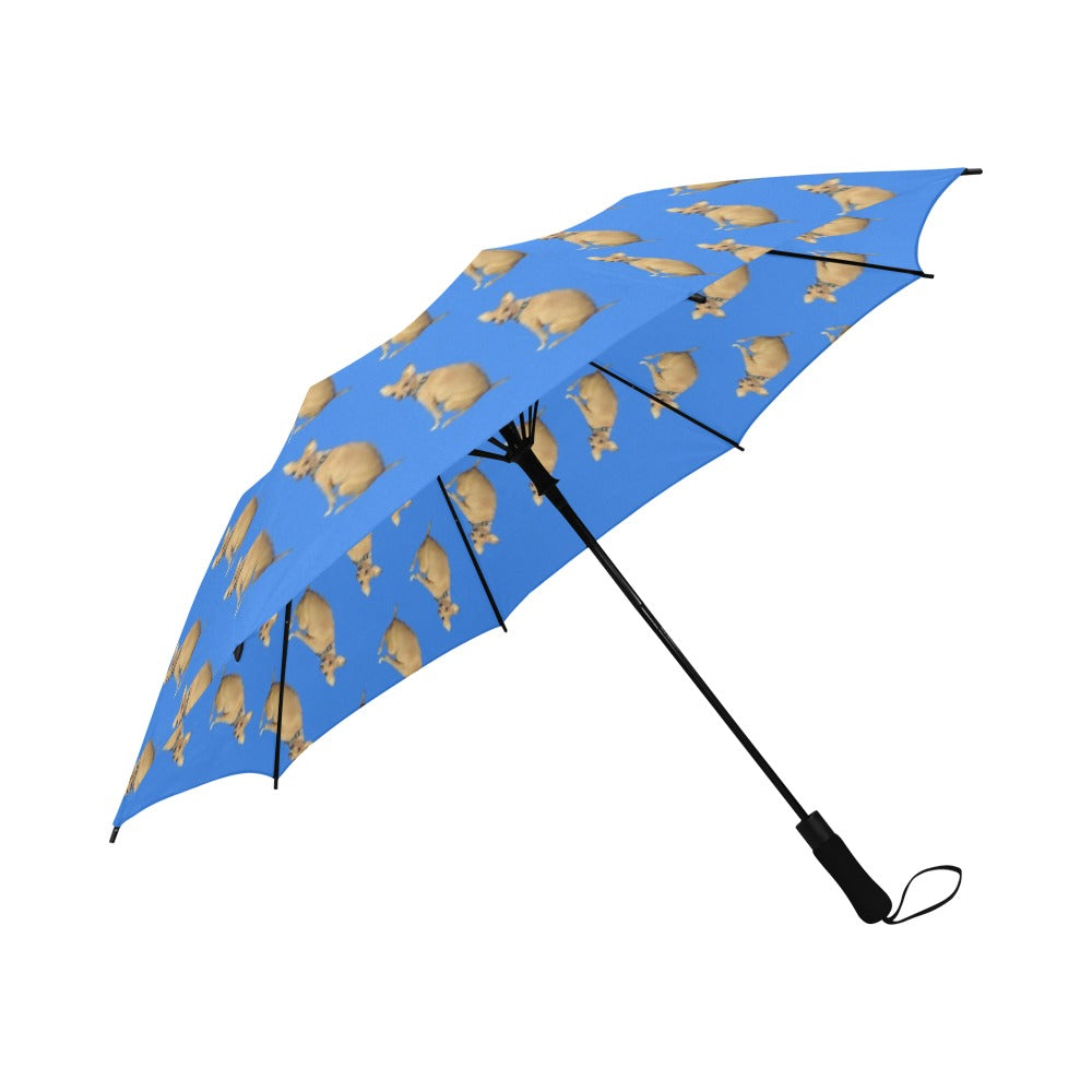 Mini Pinscher Umbrella - Lulu