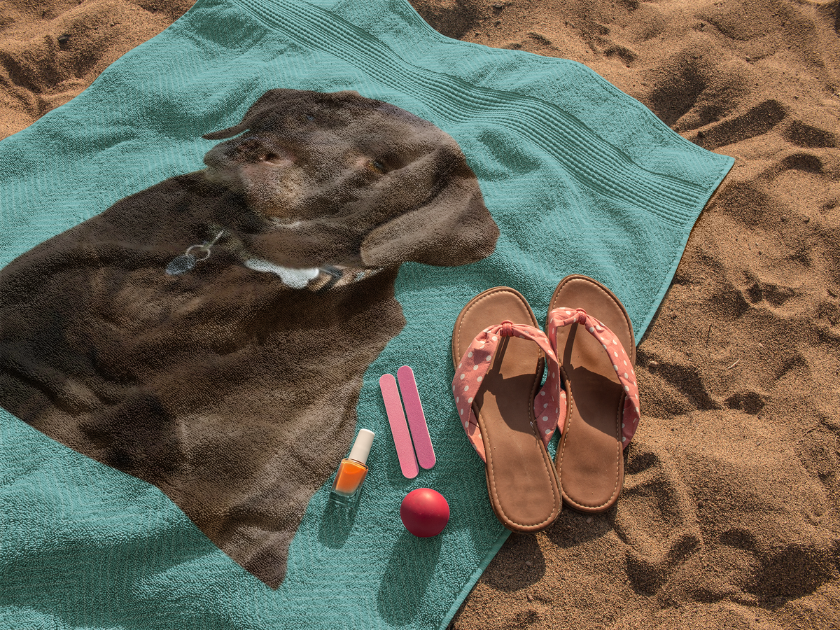 Chocolate Lab Beach Towel