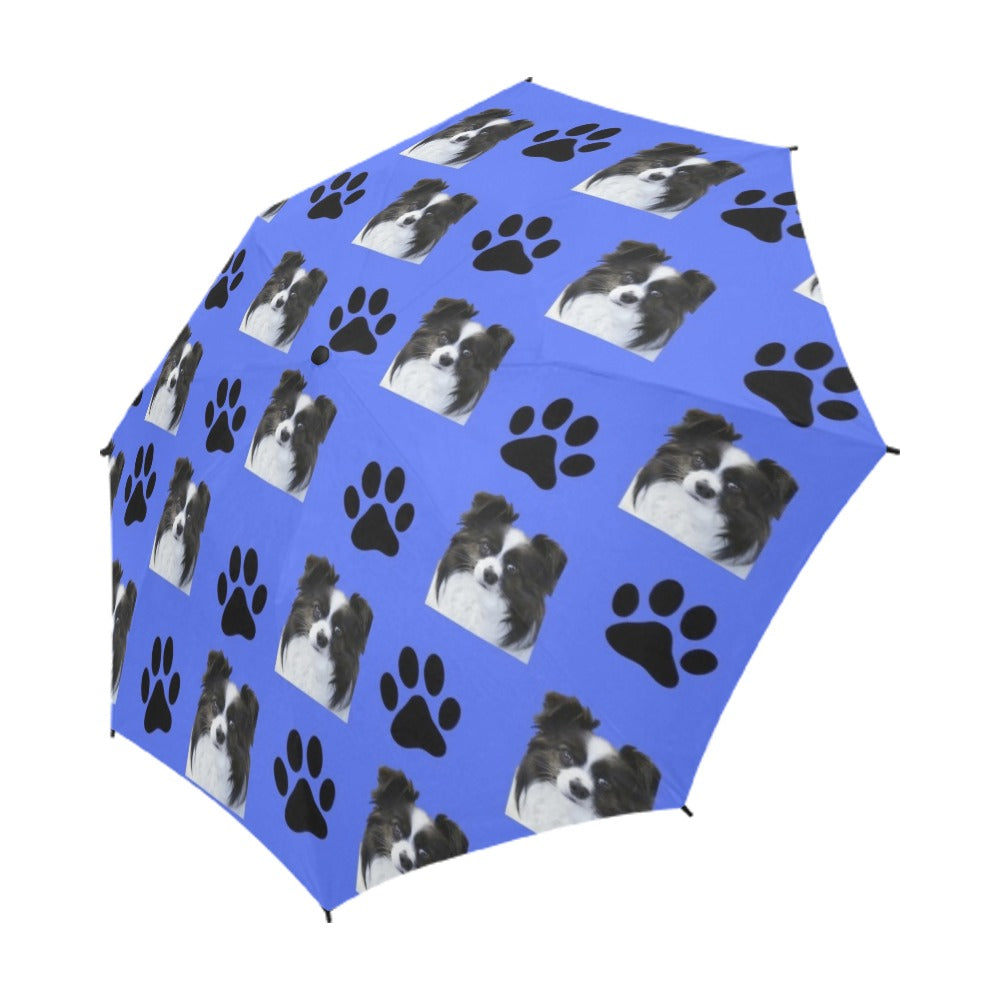 Papillon &amp; Paws Umbrella - Black &amp; White Papillon