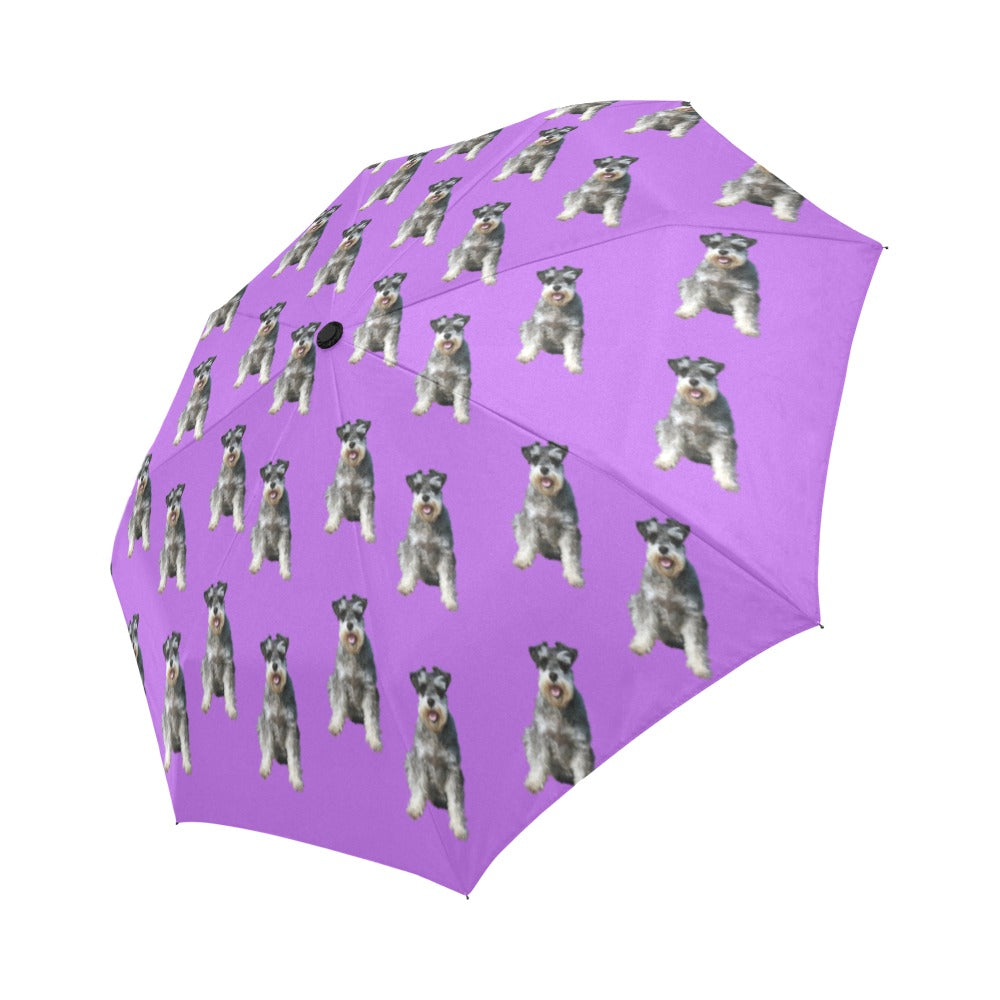 Schnauzer Umbrella - Purple Fully Auto