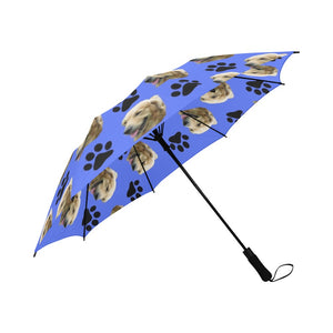 Golden Retriever & Paws Umbrella