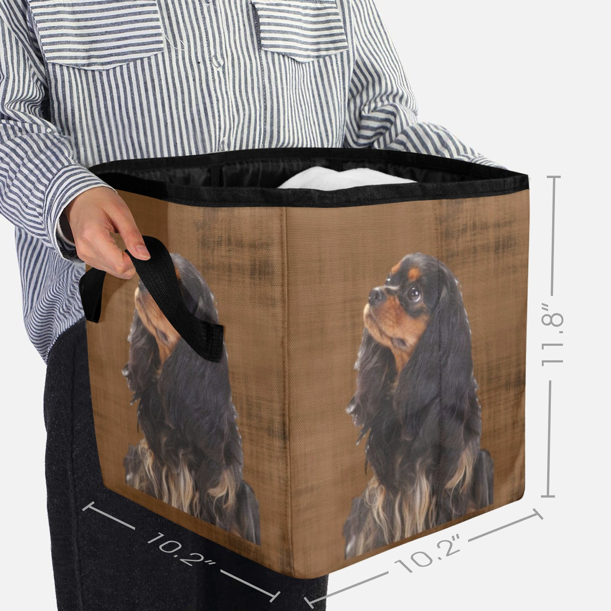 Cavalier King Charles Spaniel Storage Basket - Black &amp; Tan