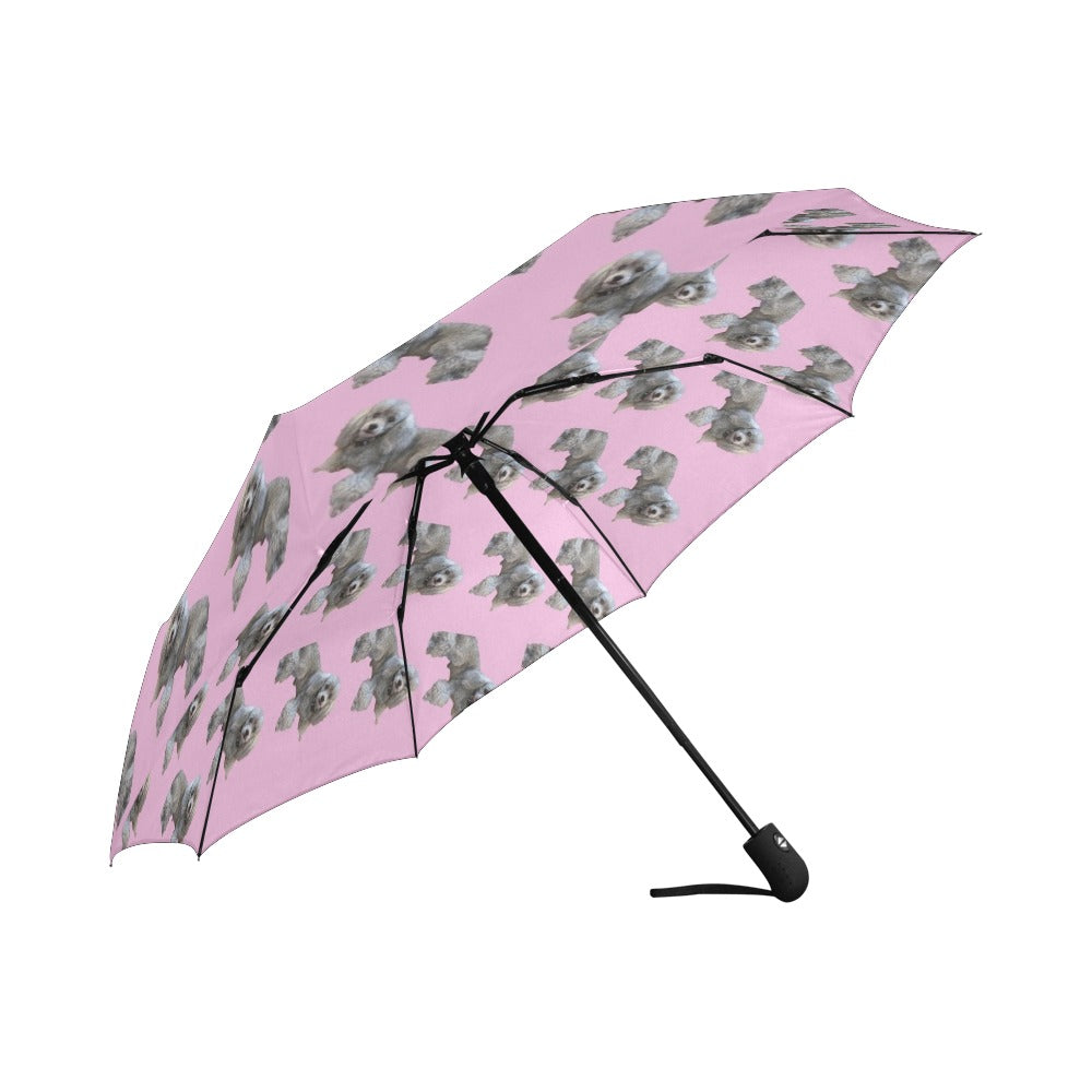 Poodle Umbrella- Automatic Suzanna