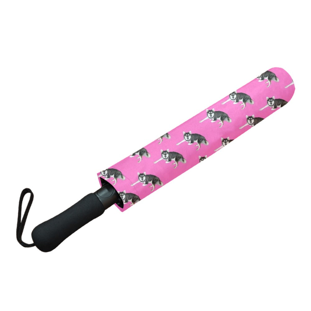 Alaskan Klee Umbrella - Pink