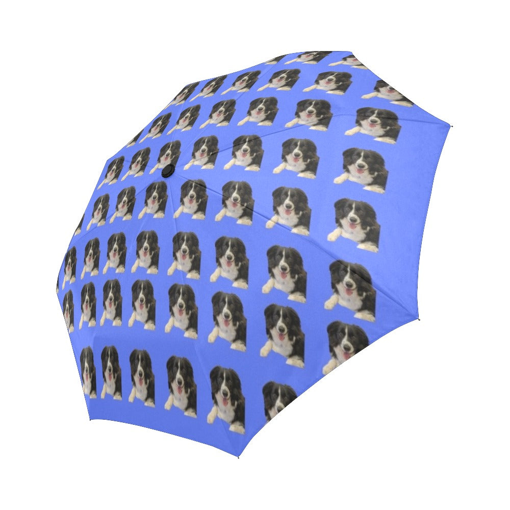 Border Collie Umbrella 2 - Automatic Suzanna