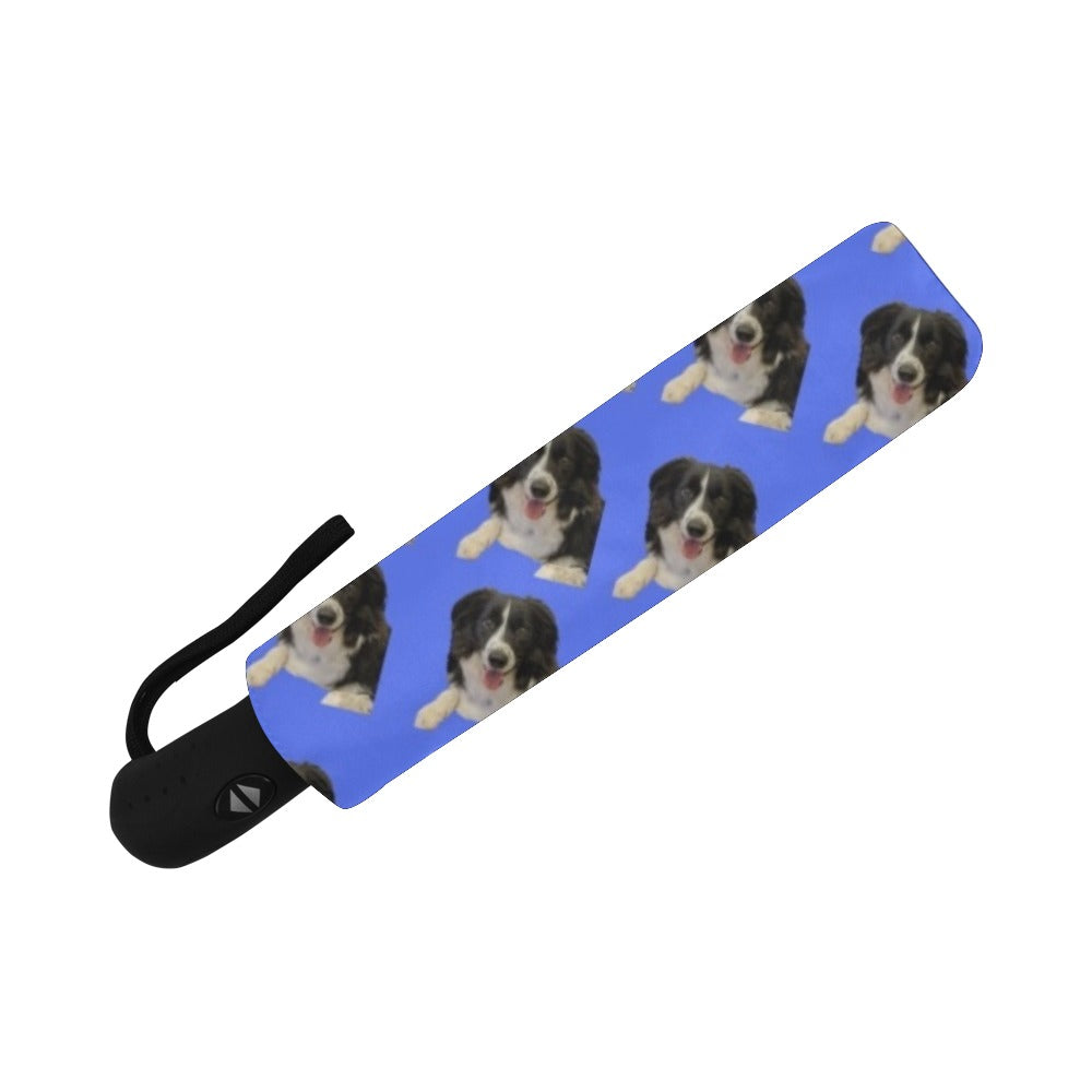 Border Collie Umbrella 2 - Automatic Suzanna