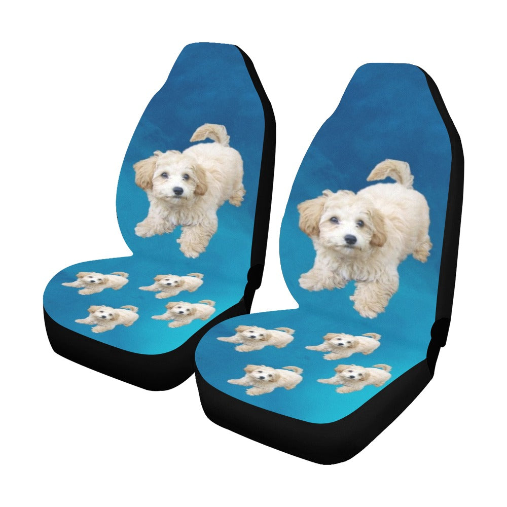 Maltipoo/Moodle Car Seat Covers ( Set of 2)