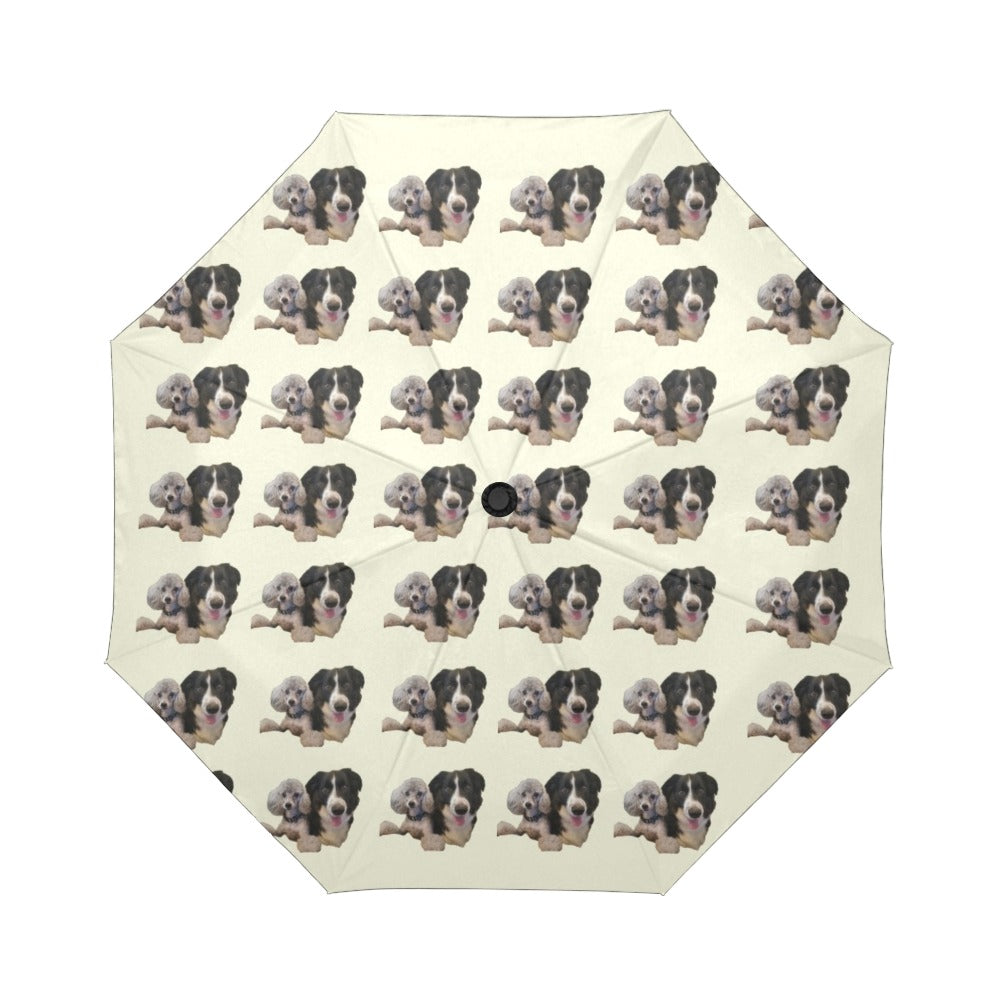 Border Collie & Poodle Umbrella - Automatic Suzanna