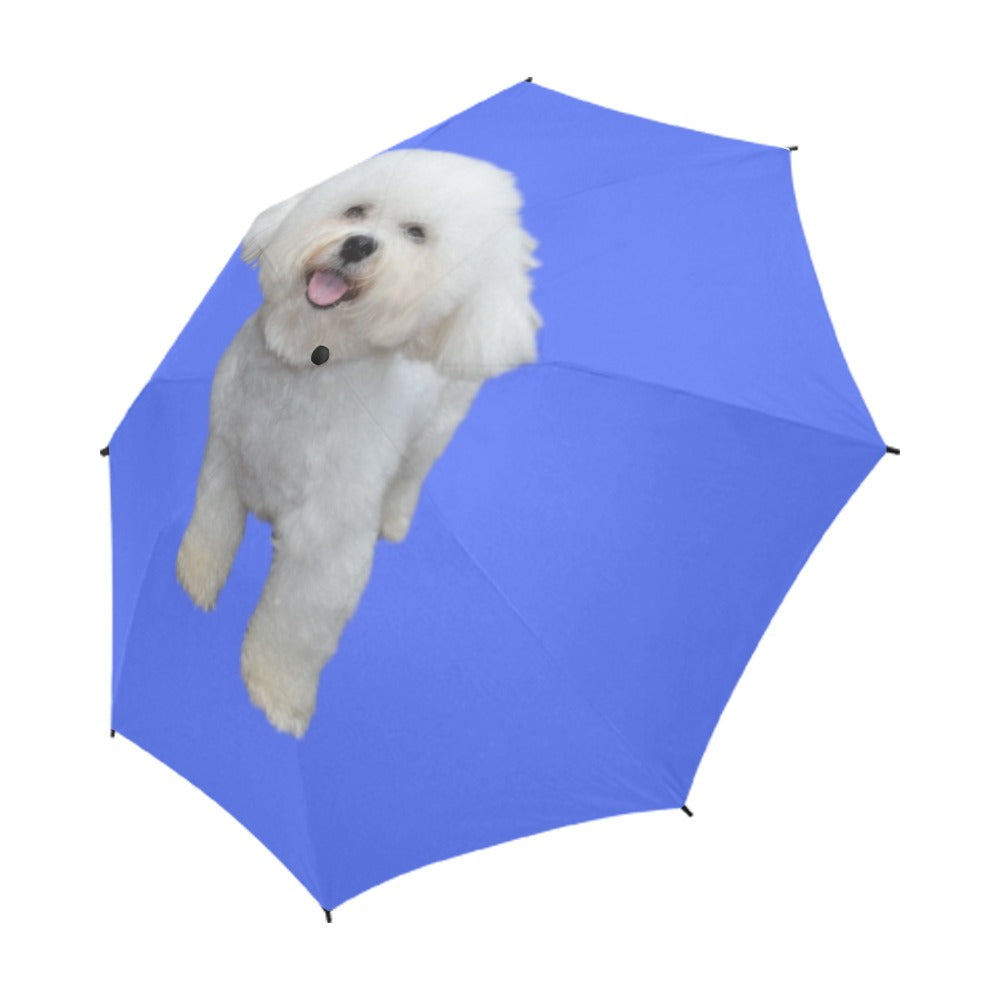 Bichon Umbrella - Single