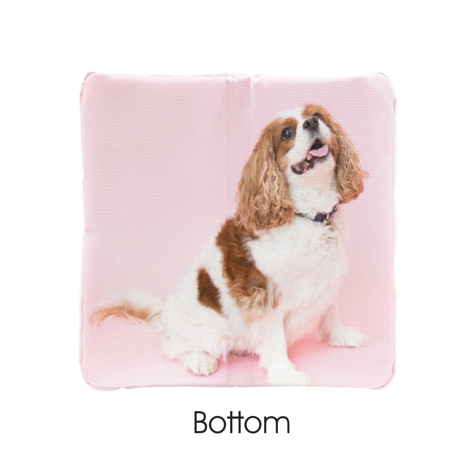 Cavalier King Charles Spaniel Storage Basket