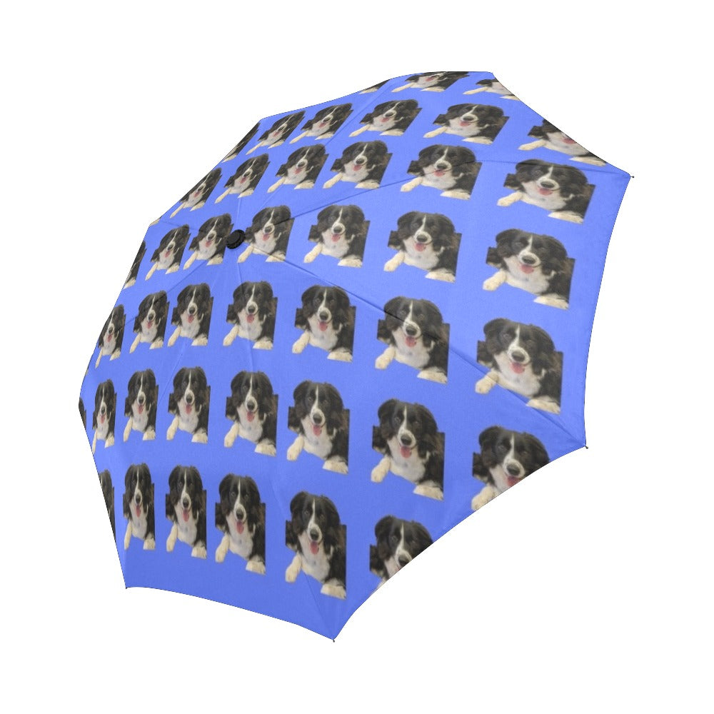 Border Collie Umbrella - Automatic Suzanna