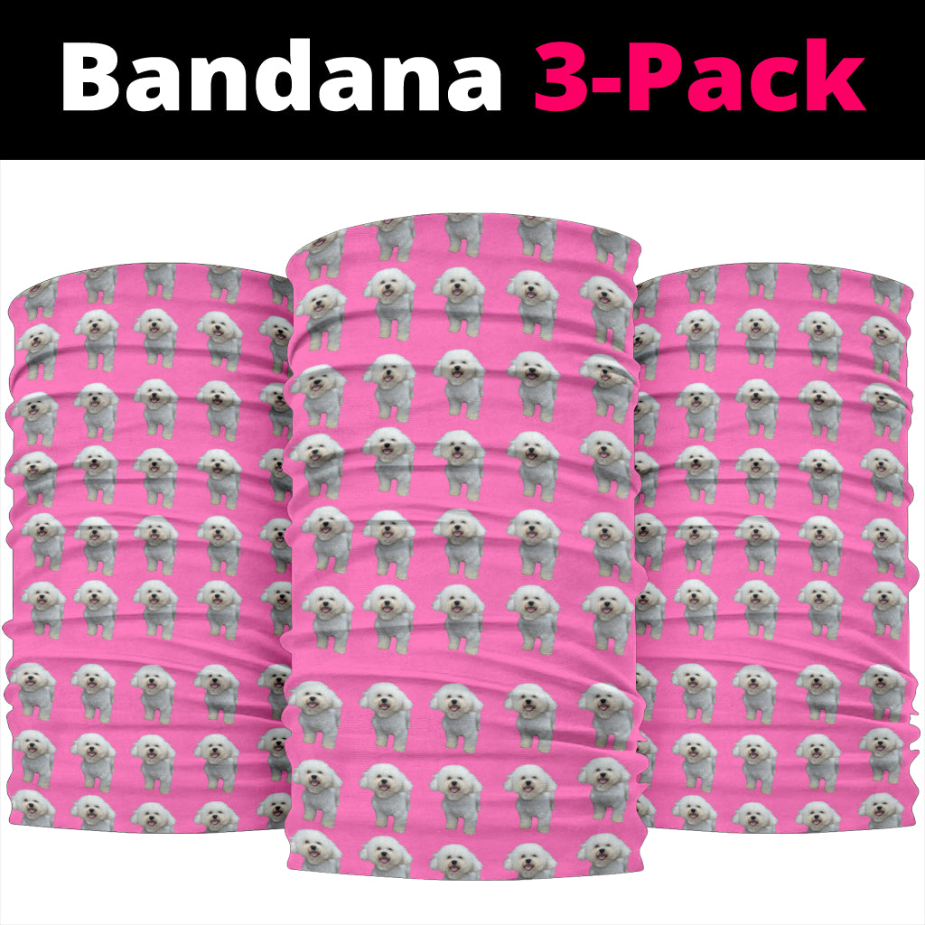 Bichon Bandanas (Set of 3)