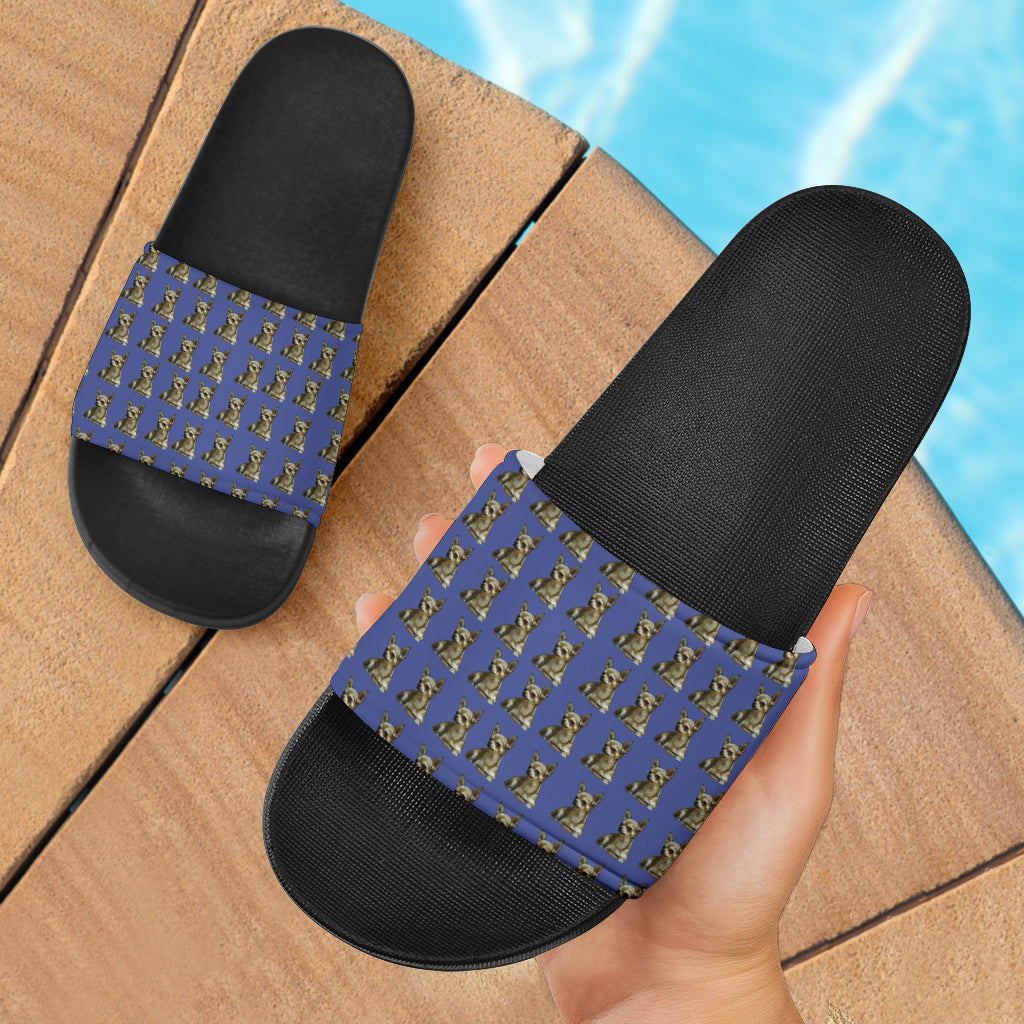 Chihuahua Slides - Blue