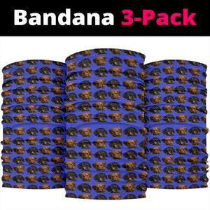 Dachshund Bandana Set - Brown & Black & Tan