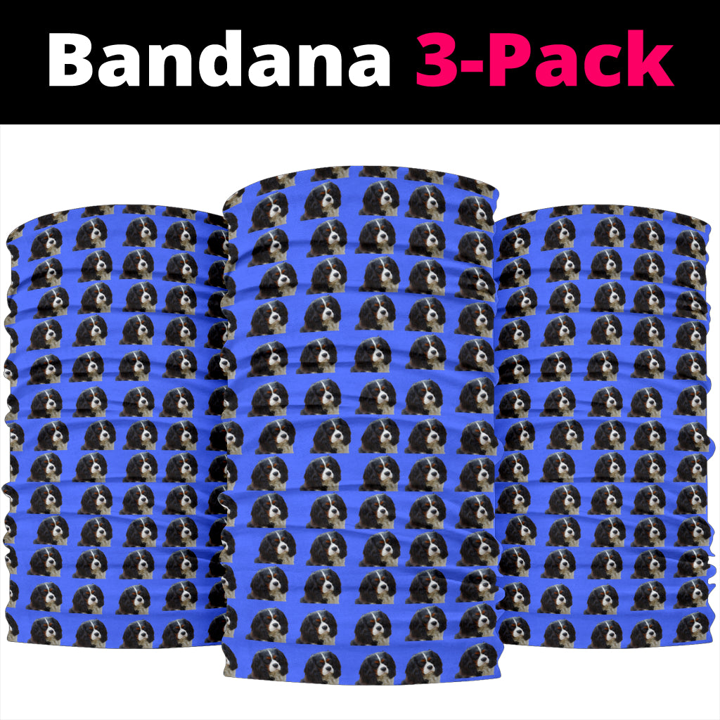 Cavalier King Charles Spaniel Bandanas -Tri