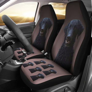 Curly Coat Retriever Car Seat Covers (Set of 2)