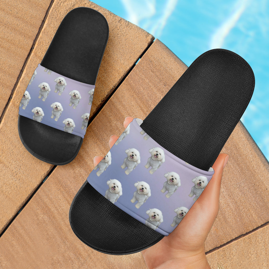 Bichon Slides - Purple