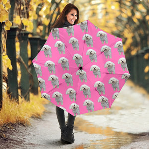 Bichon Umbrella Pink - Semi Automatic PP