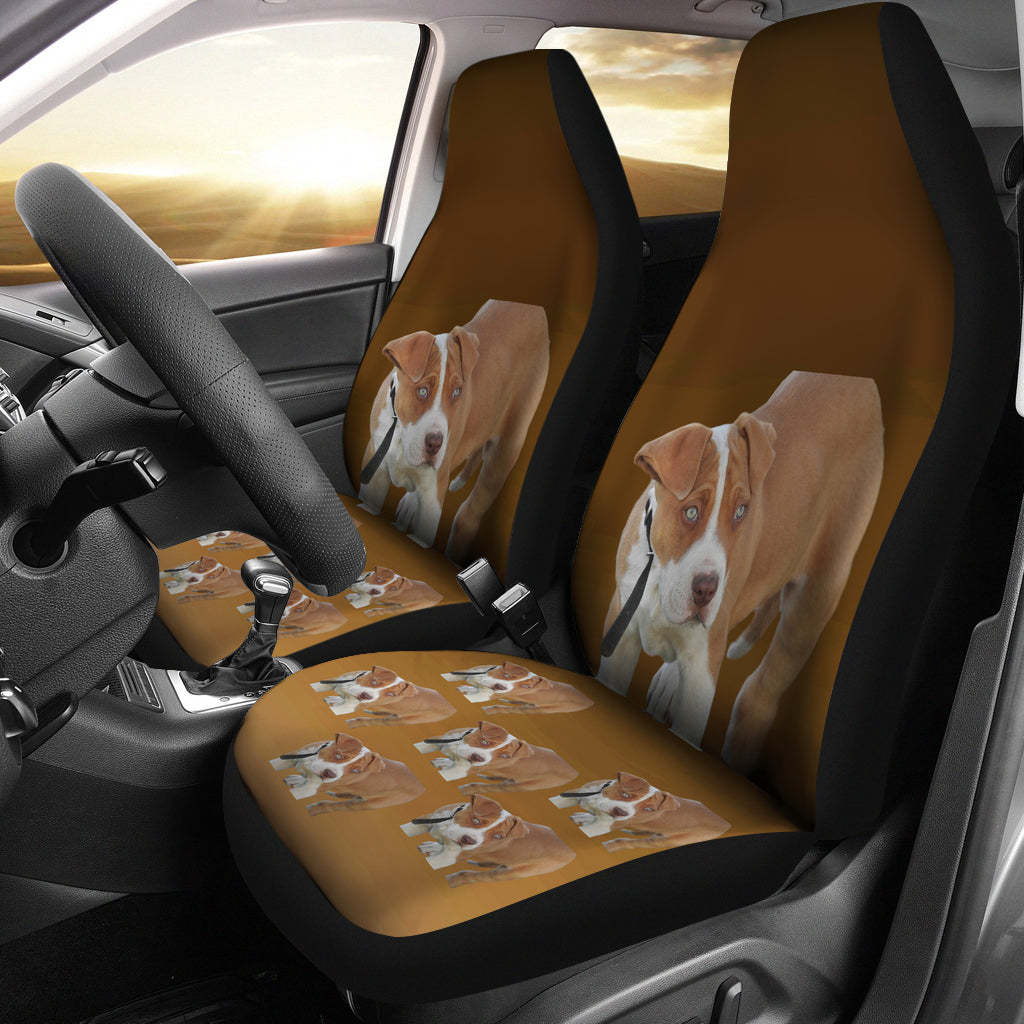 Pit Bull Car Seat Covers (Set of 2)