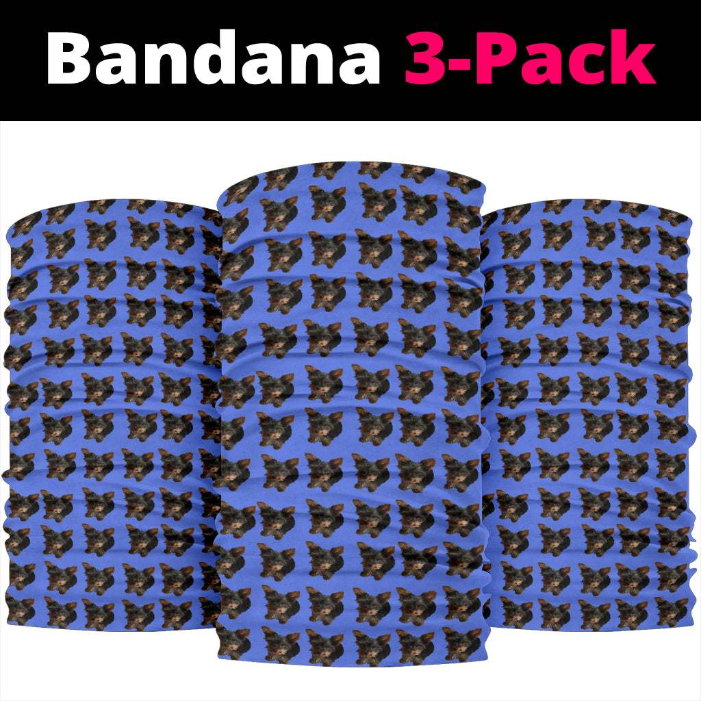 Yorkie Bandanas - Blue