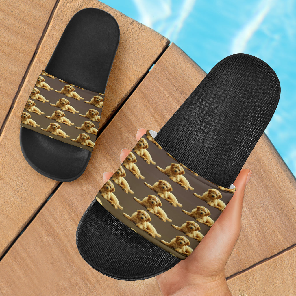 Goldendoodle Slides