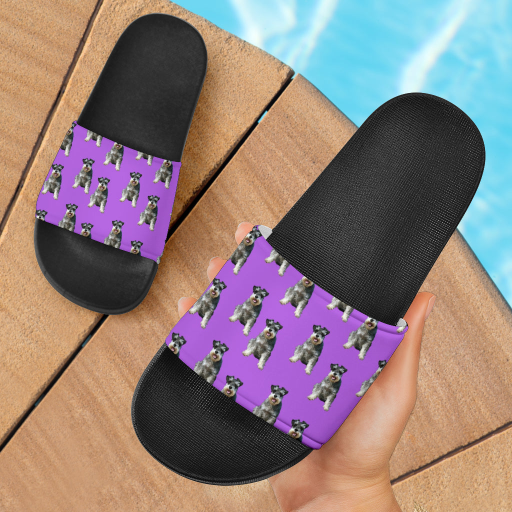 Schnauzer Slides - Purple