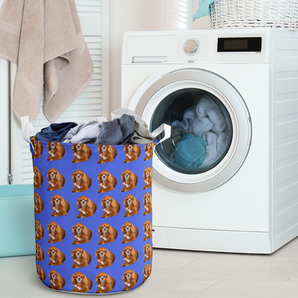 Cavalier King Charles Laundry Basket - Ruby