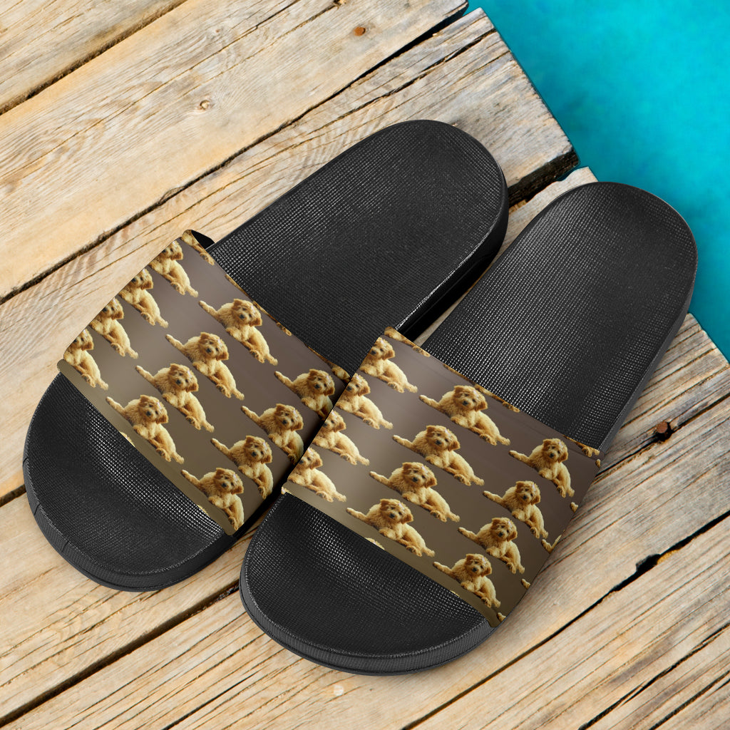 Goldendoodle Slides