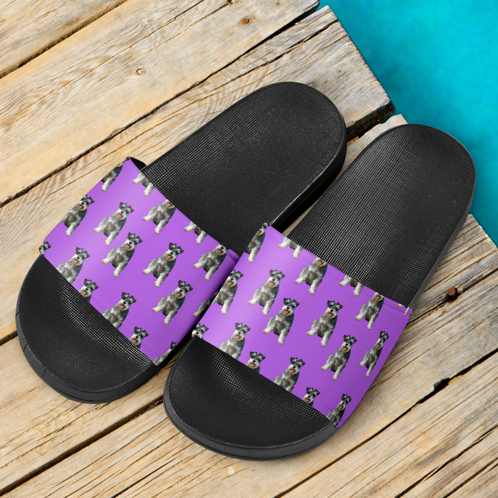 Schnauzer Slides - Purple