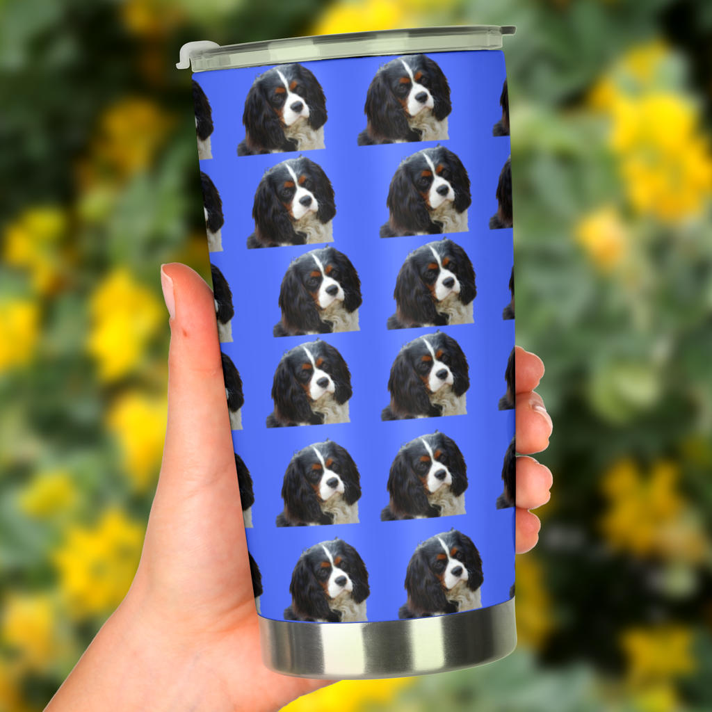 Cavalier King Charles Spaniel Tumbler - Tri