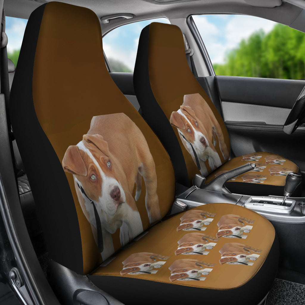 Pit Bull Car Seat Covers (Set of 2)