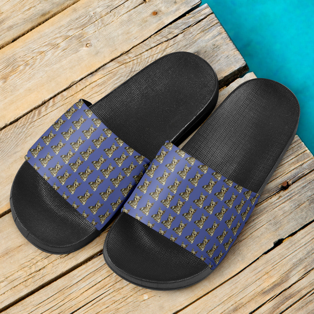 Chihuahua Slides - Blue