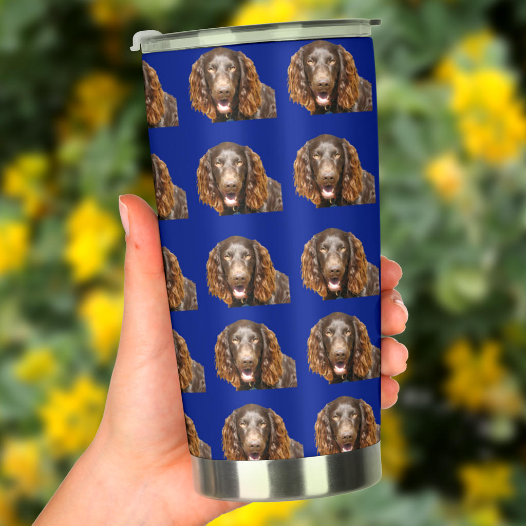 Boykin Spaniel Tumbler