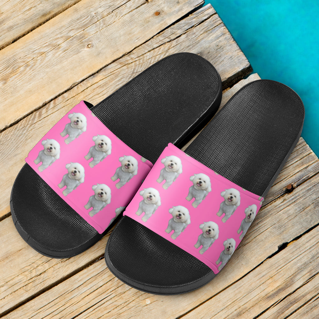 Bichon Slides