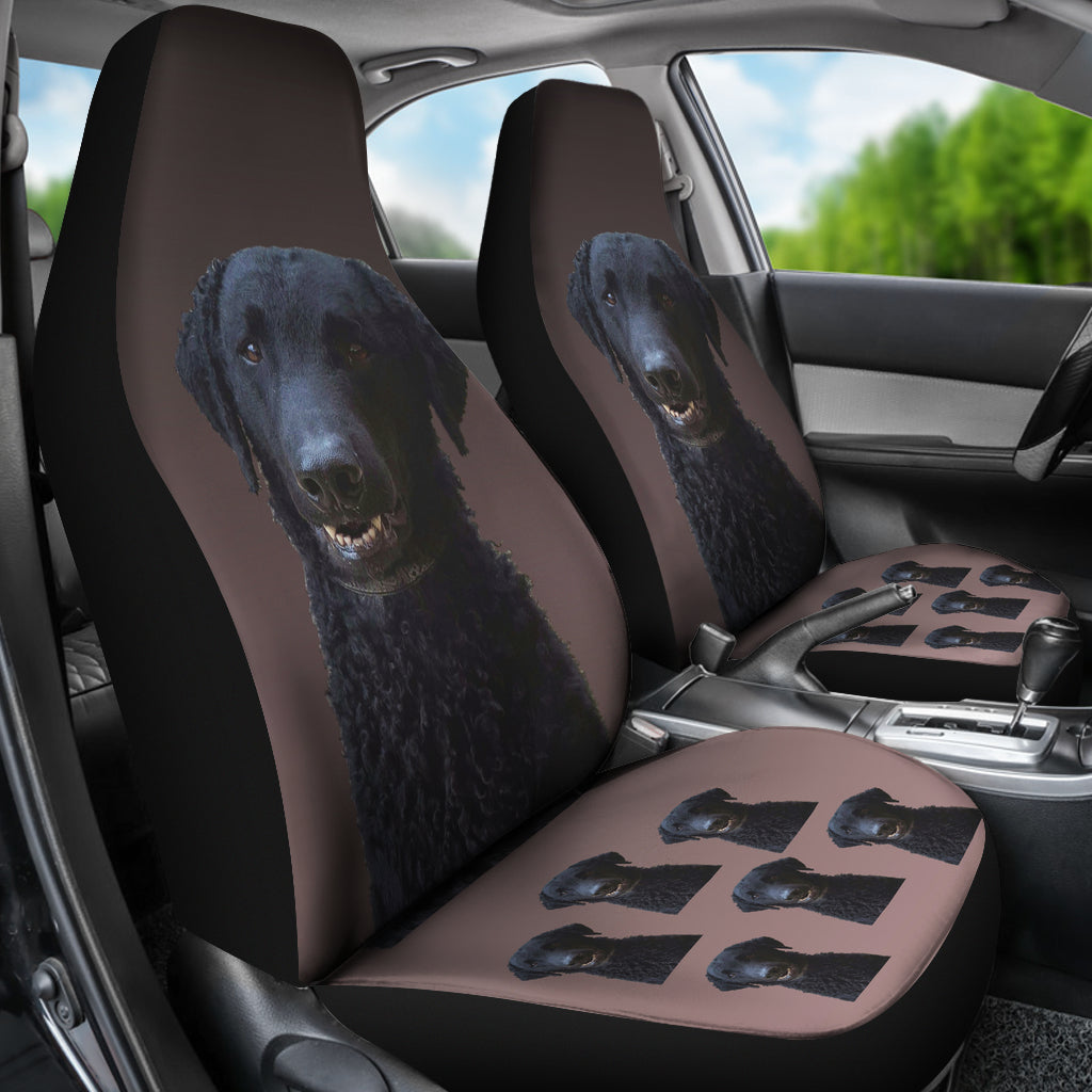 Curly Coat Retriever Car Seat Covers (Set of 2)