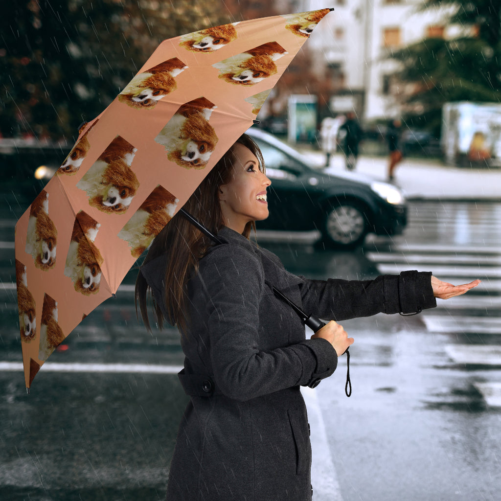 Cavalier King Charles Umbrella - Semi Automatic PP