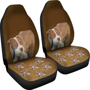 Pit Bull Car Seat Covers (Set of 2)