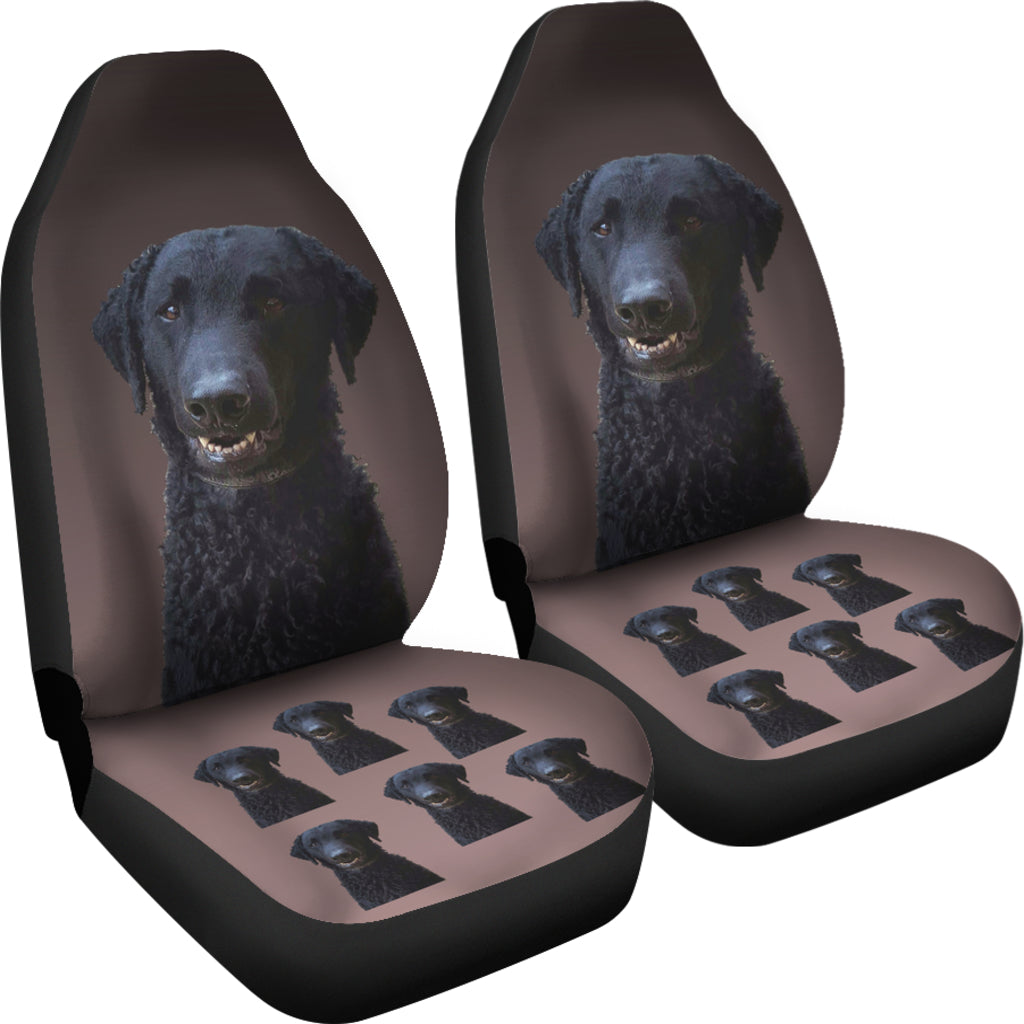 Curly Coat Retriever Car Seat Covers (Set of 2)