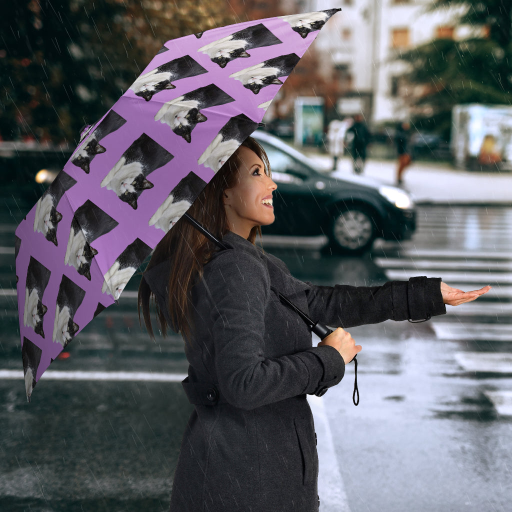 Black & White Cat Umbrella - Semi Automatic