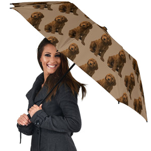 Goldendoodle Umbrella 2 - Semi Automatic