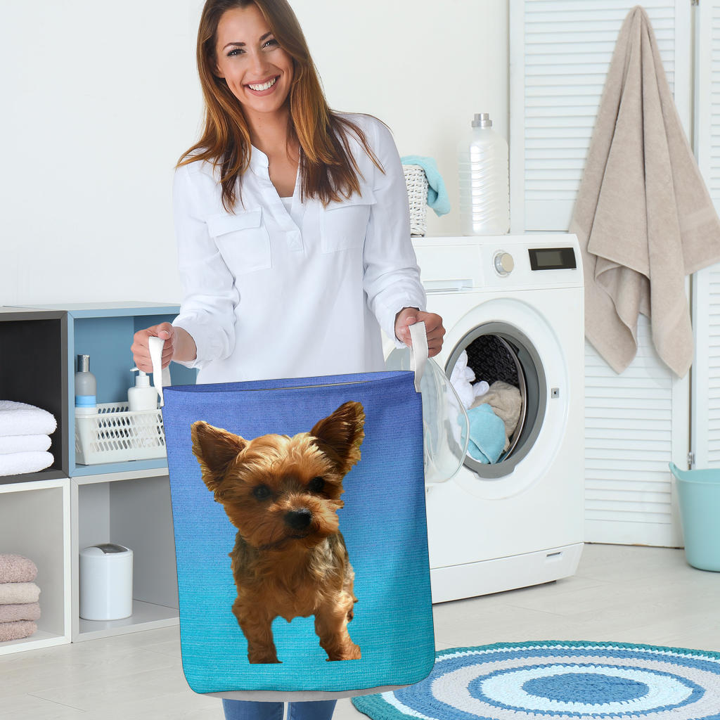 Yorkie Laundry Basket