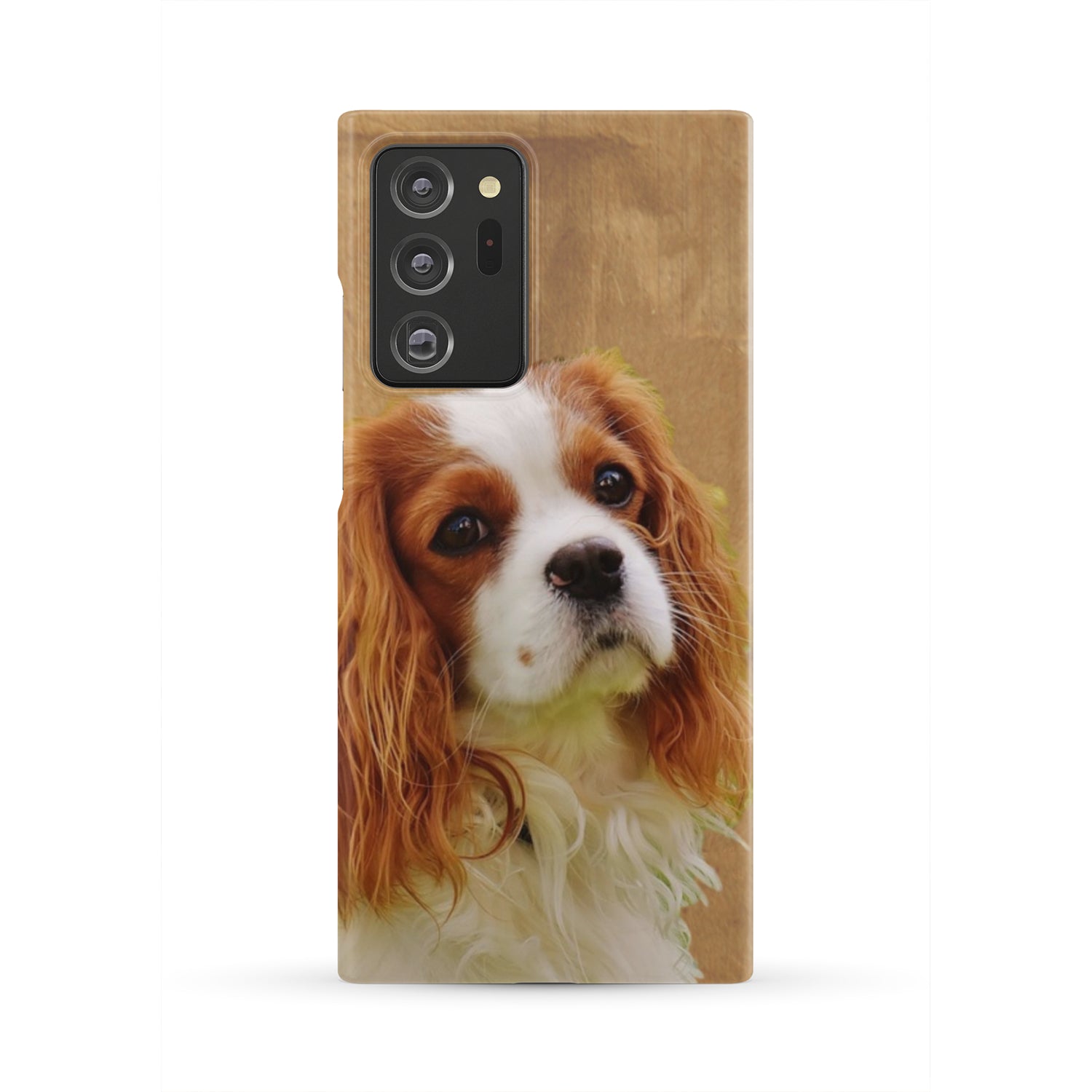 Cavalier Phone Case