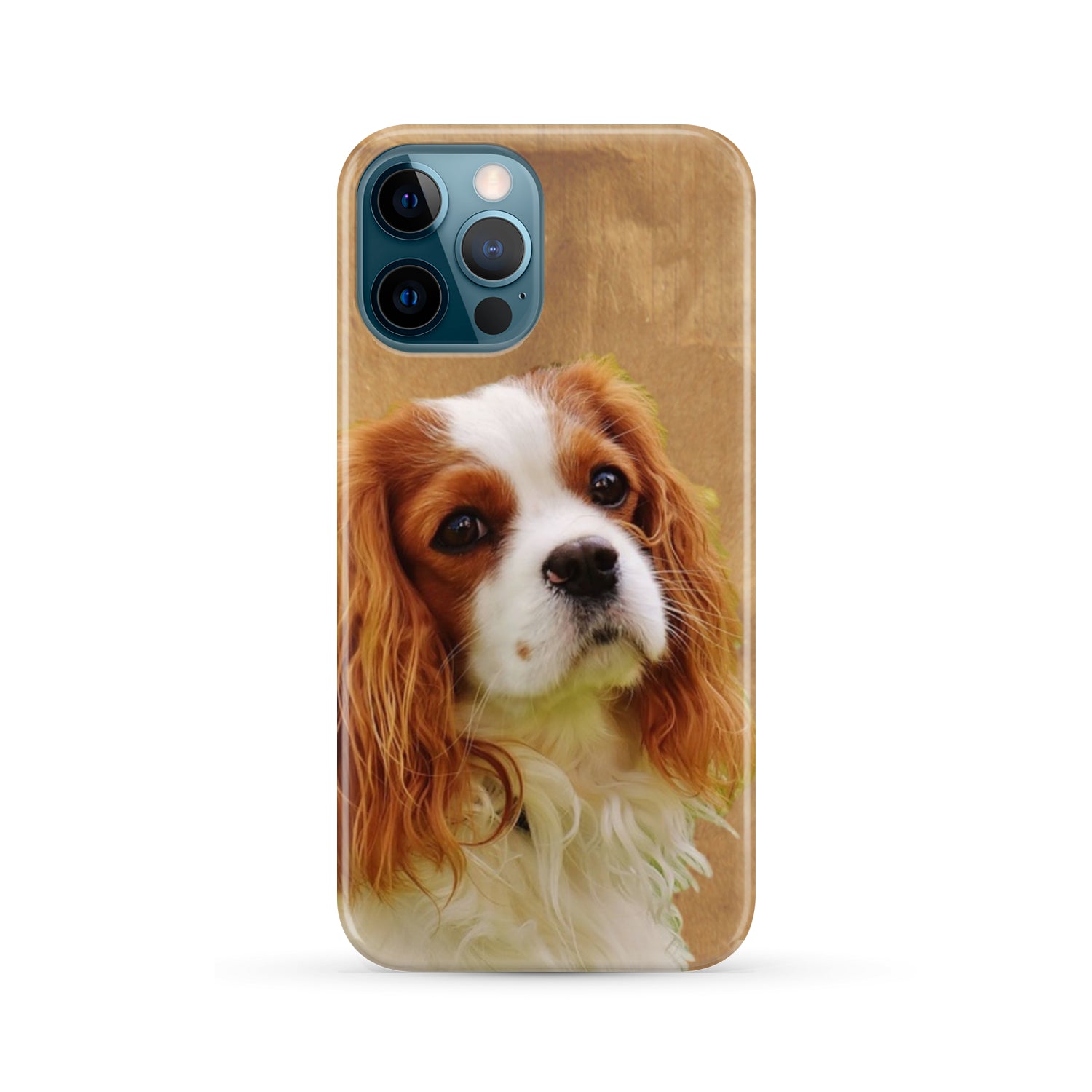 Cavalier Phone Case