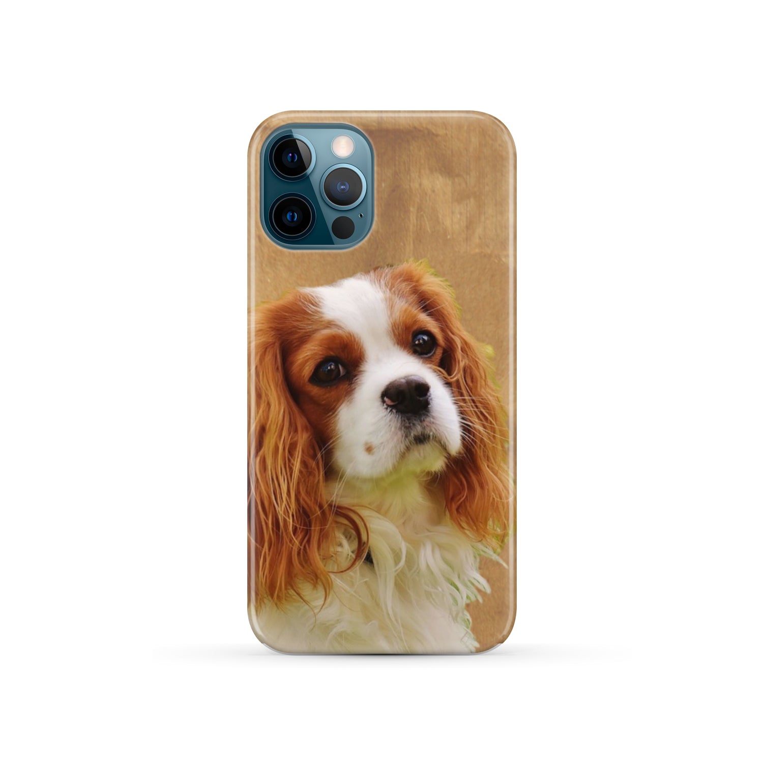 Cavalier Phone Case