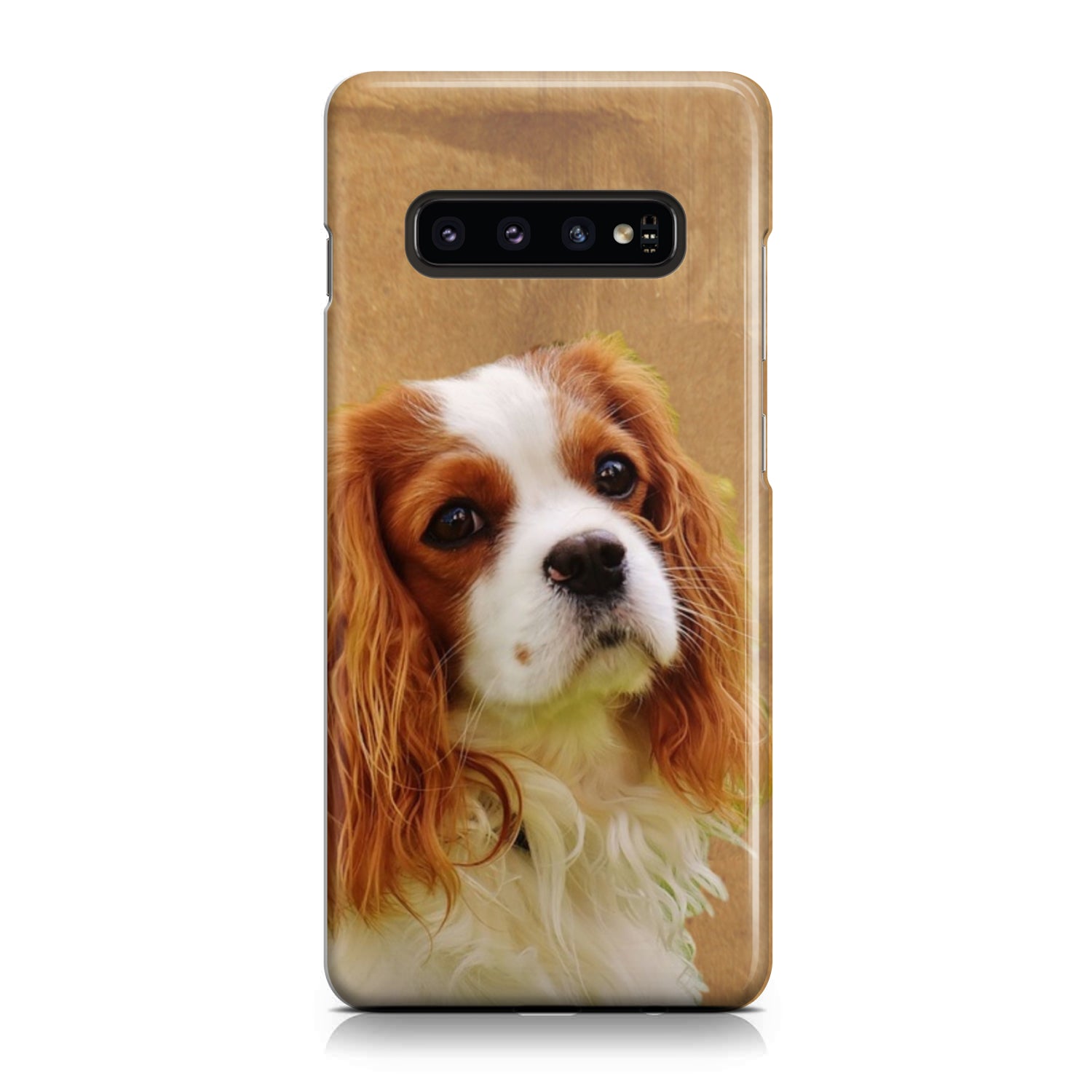 Cavalier Phone Case