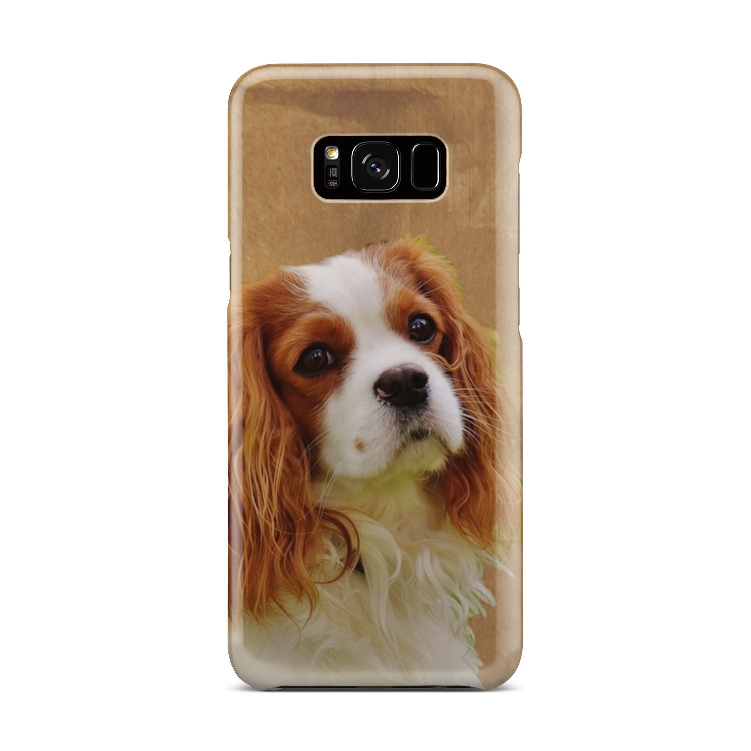 Cavalier Phone Case