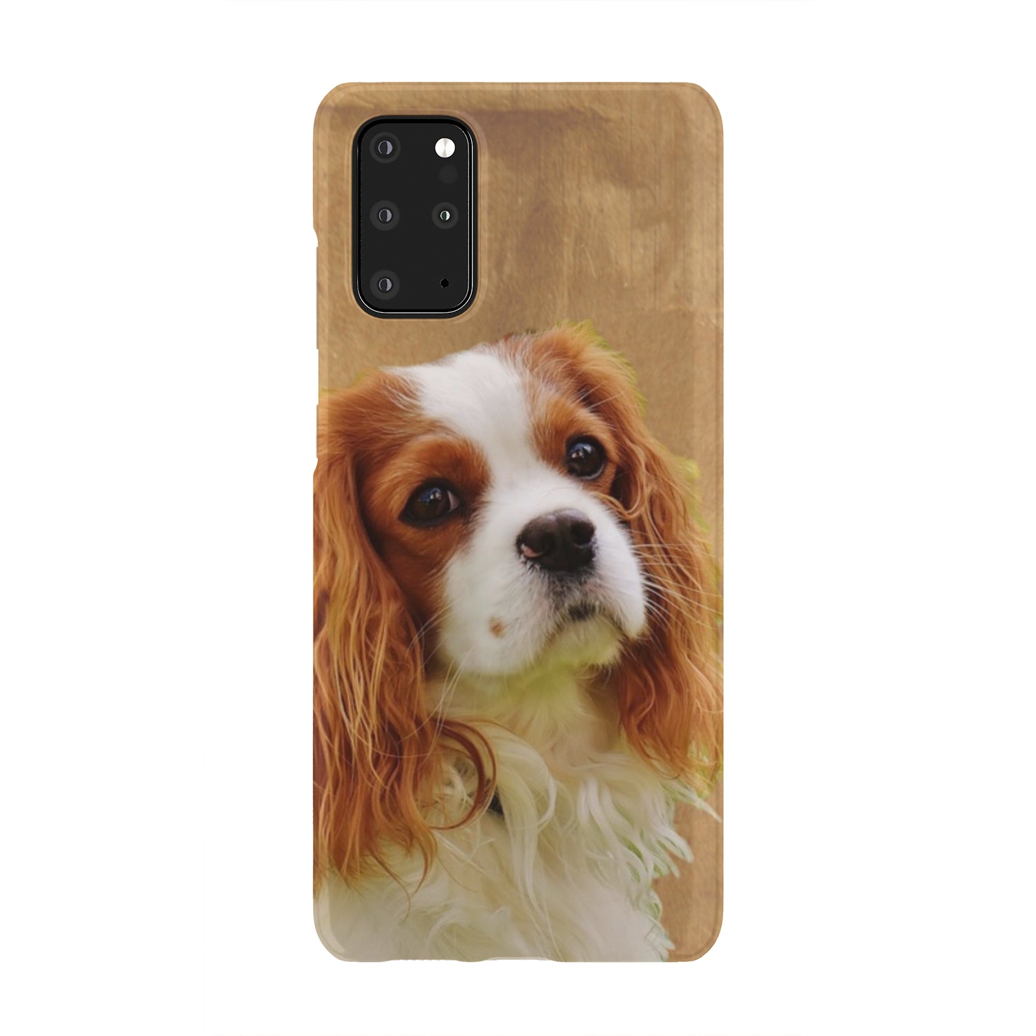 Cavalier Phone Case