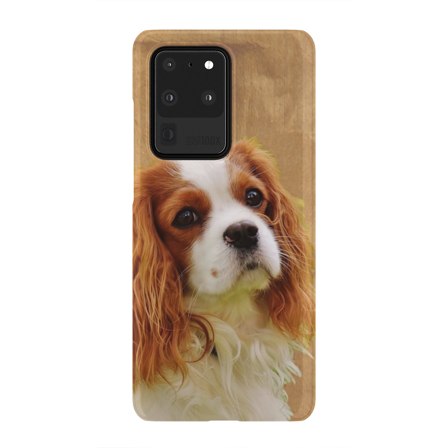 Cavalier Phone Case