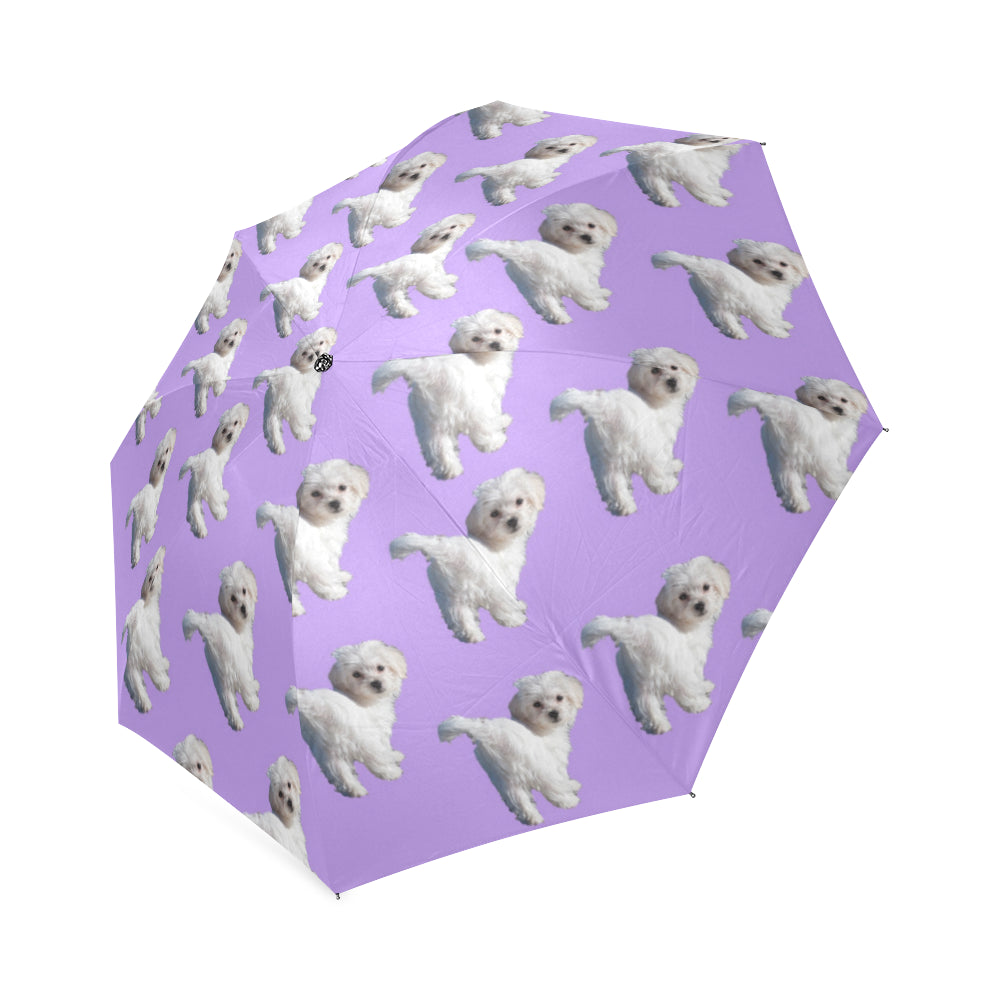 Maltese Umbrella